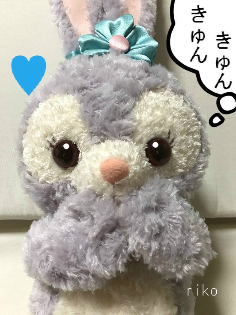 新商品購入！入店制限…新しくて可愛いお友達,ステラルー