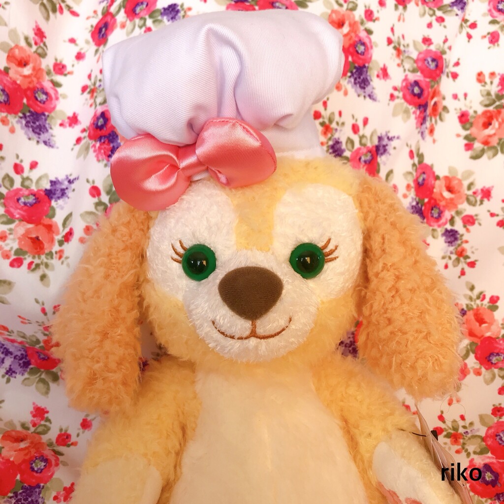 流行中にて購入☆初登場のクッキー・アン☆ディズニーシー