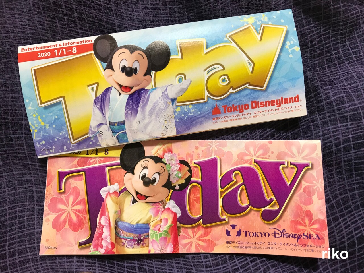 お値段以上な記念品 1 1 元旦のインの華やかなパーク ディズニー宝箱