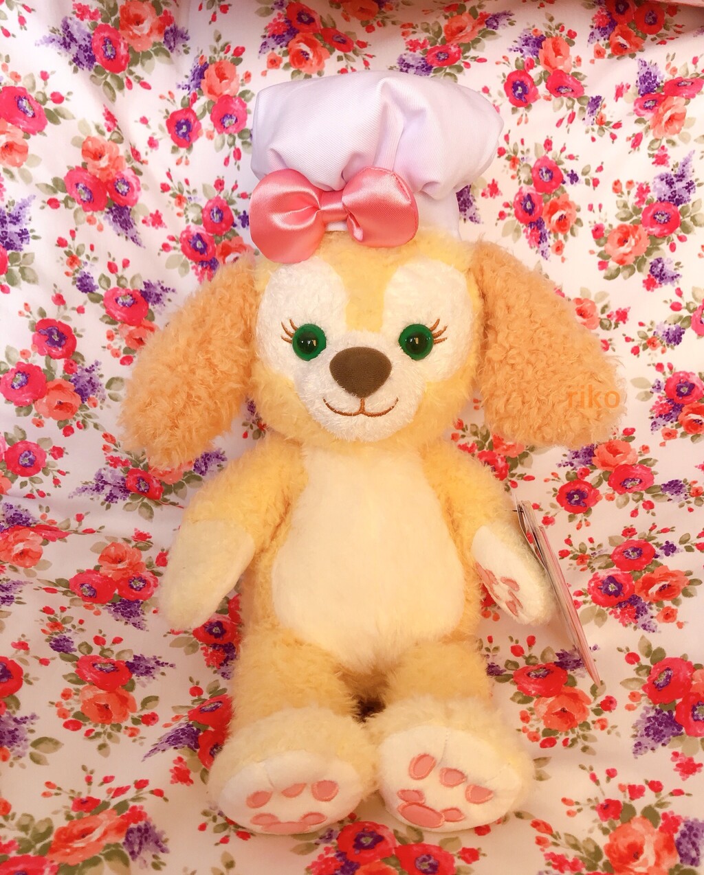 ♡クッキーアン(まとめ売り)♡② 流行中にて購入☆初登場のクッキー・アン☆ディズニーシー