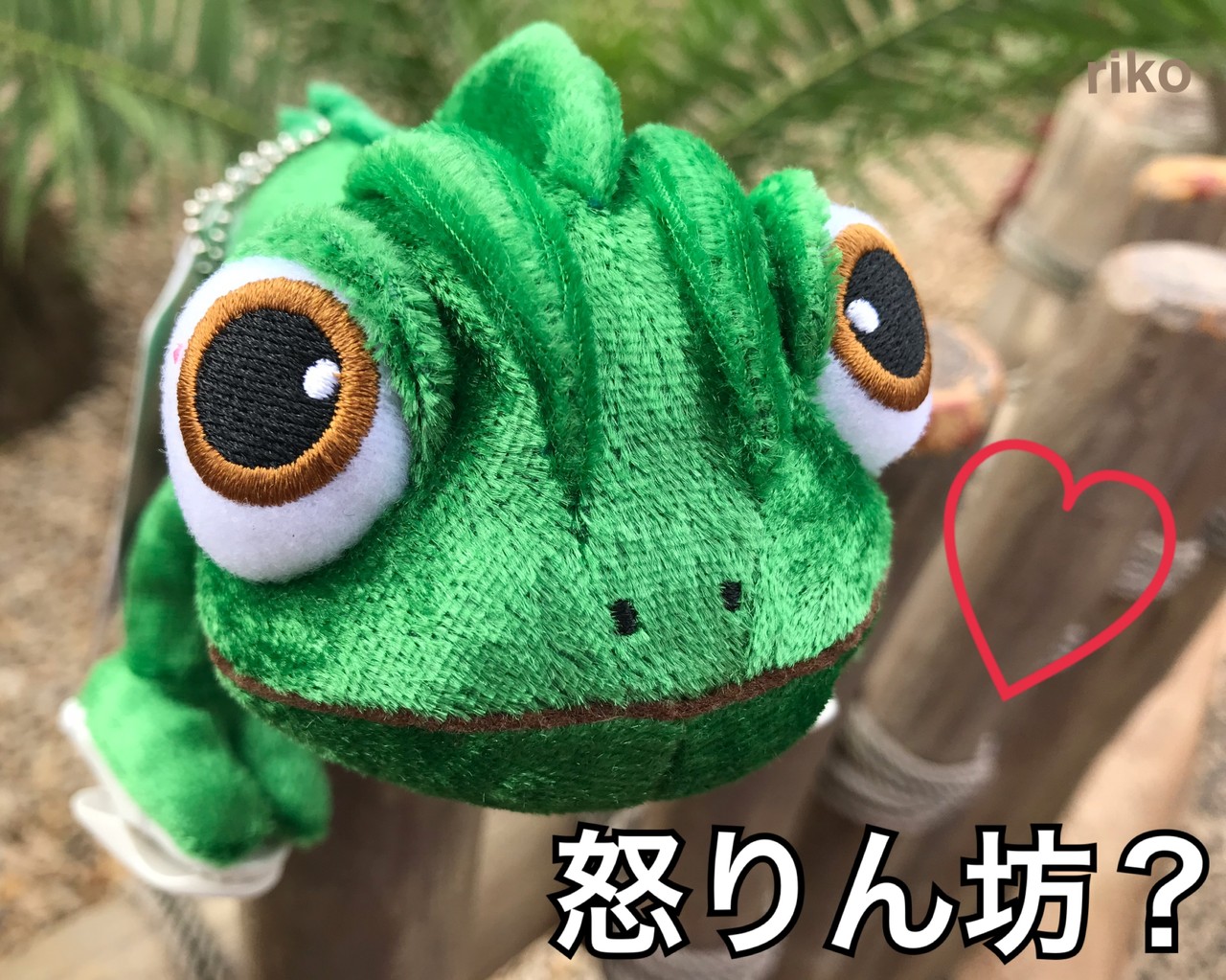 新商品 待望 売り切れ前にチェックを 肩乗せぬいぐるみ ディズニー宝箱