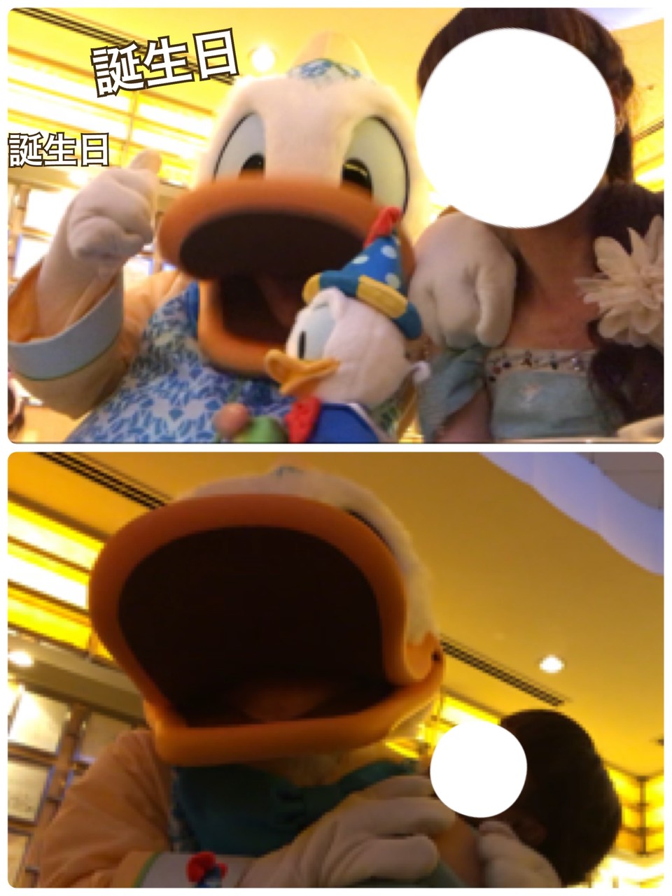 興奮 お誕生日祝いに ドナルド 可愛すぎるキス攻めデイジー ディズニー宝箱