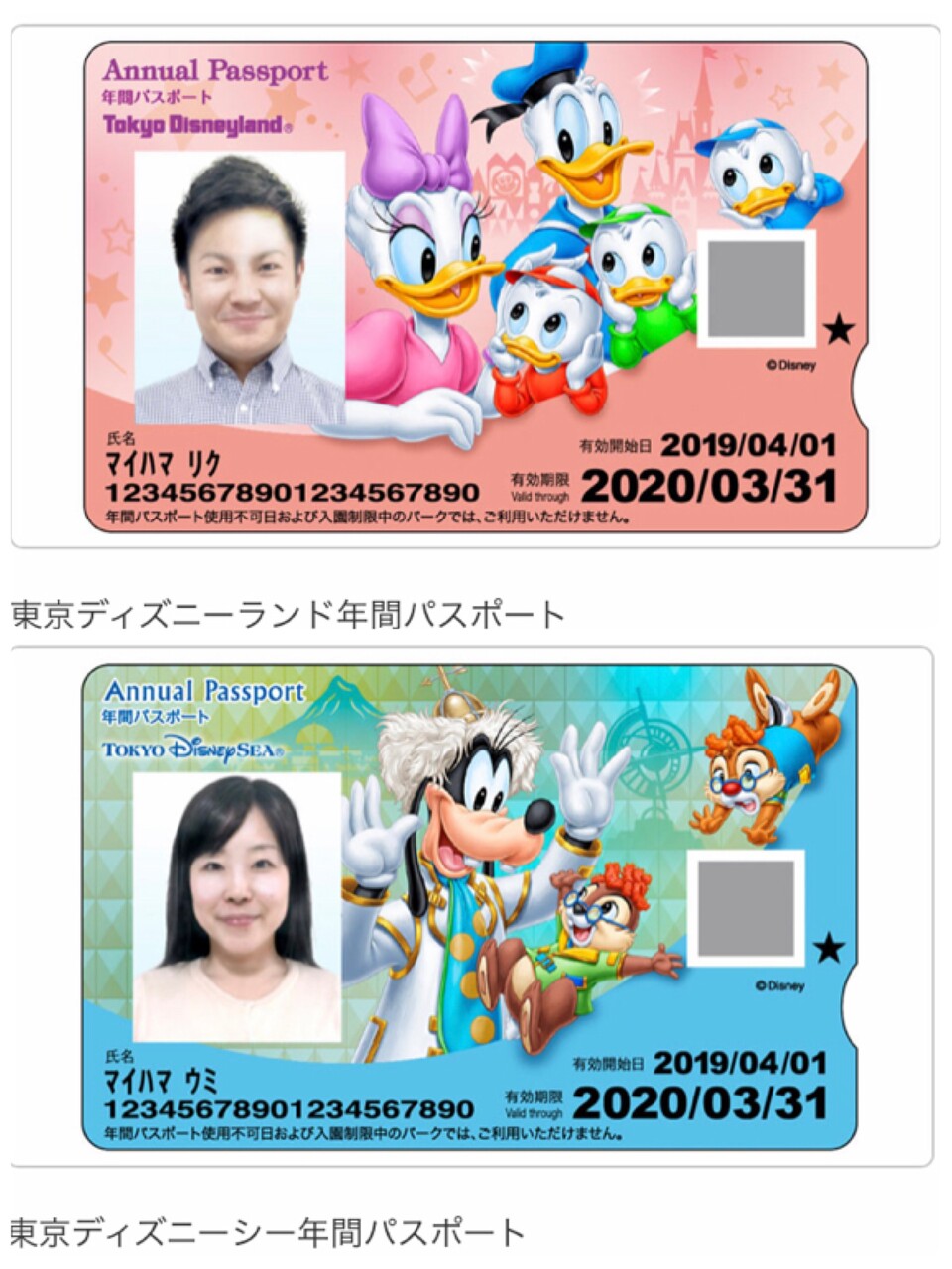 ディズニーランド 年間 パスポート 値段 Article ディズニーランド 年間 パスポート 値段 Article