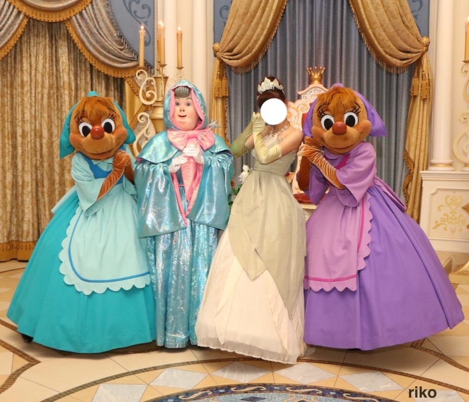 Tdl 貸し切りのシンデレラ城 仮装プラス18参加 ディズニー宝箱