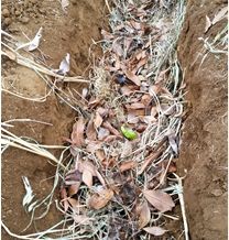 グラフィックス3