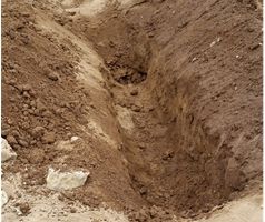 グラフィックス1