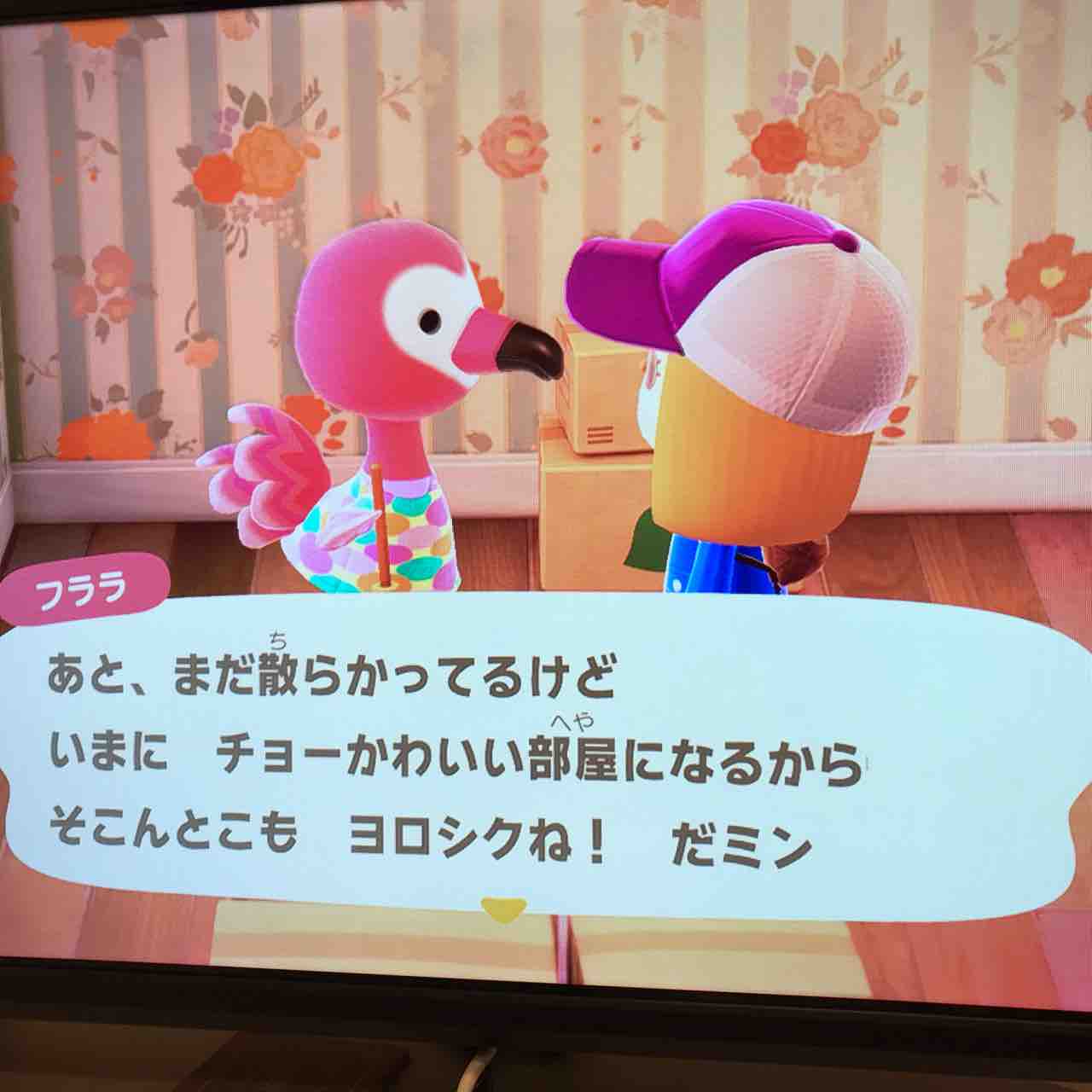 どうぶつの森の沼にどっぷり 26歳独身女無職の日常