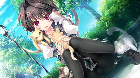 clear_0030jp-001