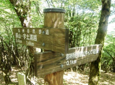 イメージ 8