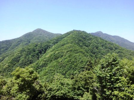 イメージ 10
