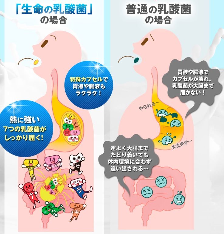 30代以上の人に紹介したい美容 健康商品ブログ 生命の乳酸菌 にダイエット効果はない 悪い口コミは 調査したらこんな事がワカッタ 30代以上の人に紹介したい美容 健康商品ブログ 生命の乳酸菌 にダイエット効果はない 悪い口コミは 調査したらこんな事がワカッタ