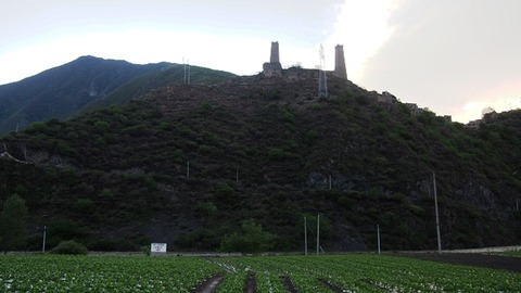P5250324