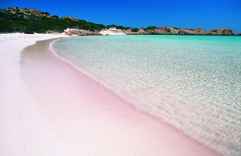 Pink_Sand_Beach