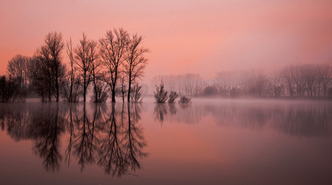 Lac_Rose_05