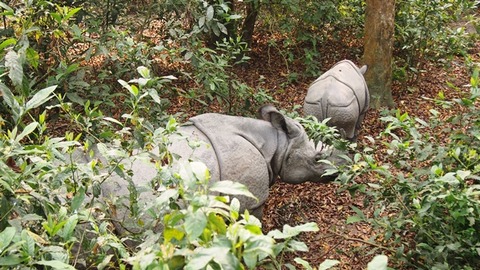 P3050294
