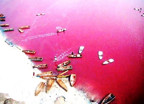Lac_Rose_04