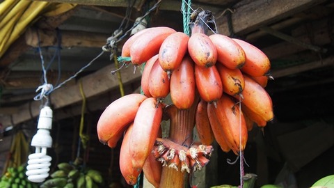 Red_Banana