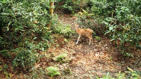 P3050300