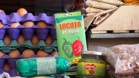 LOCOTOスパイス