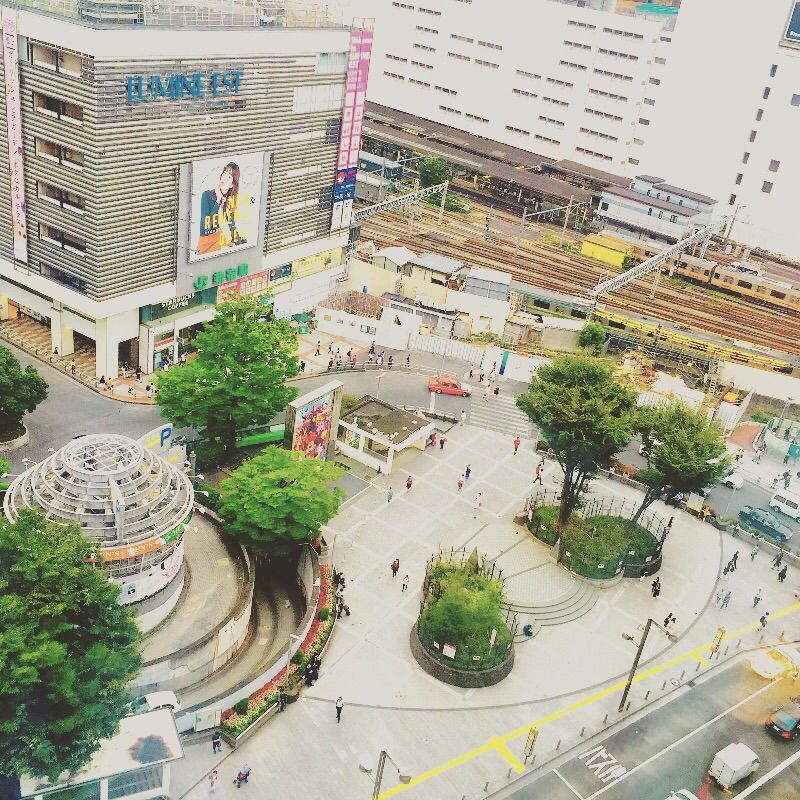 高いところに登ったら 写真をジオラマ風 ミニチュア風 にして遊ぼう すてきなきっかけ