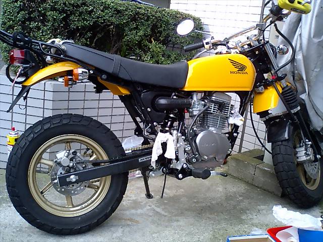 エイプ リアディスク仕様