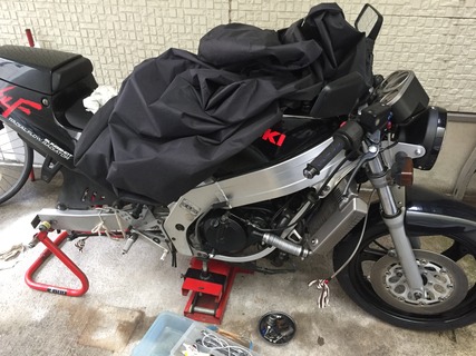 76915752-s.jpg