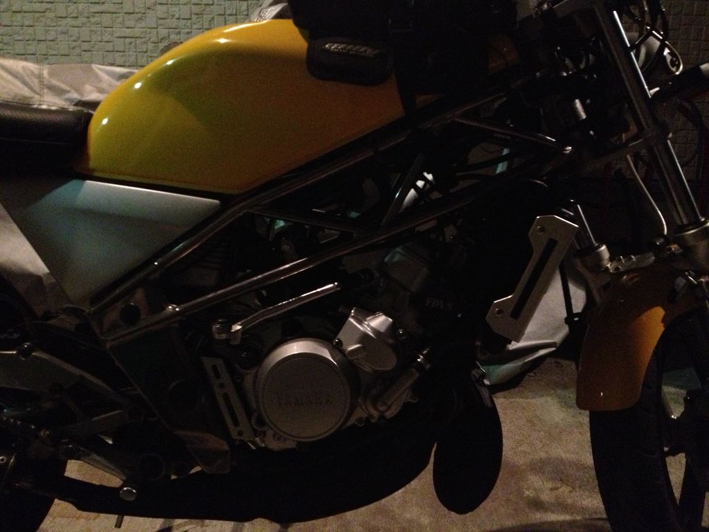 SDR：奥多摩釣りオフとエンジン換装 : ここんところ++