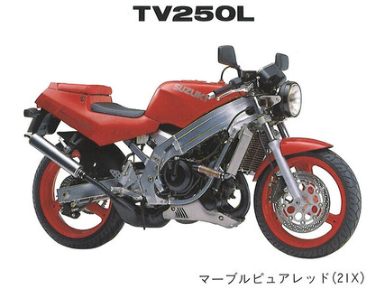 TV250L-21X