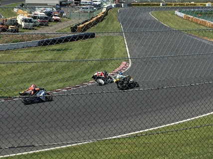 IMG_8384