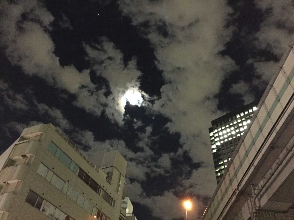 台風一過 ここんところ