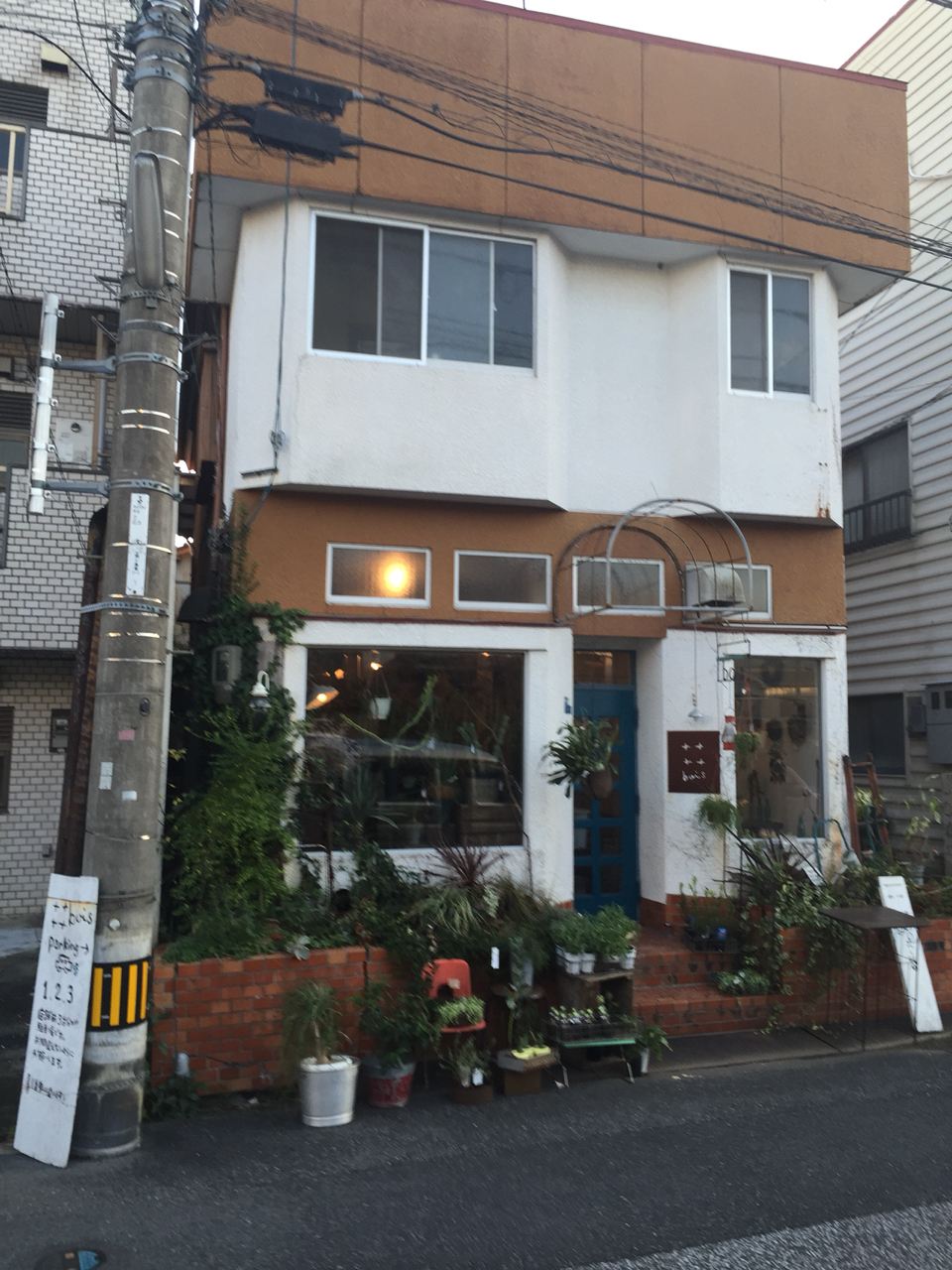 高知の花屋さん Bois Rilhair Masafuminakagawa Blog