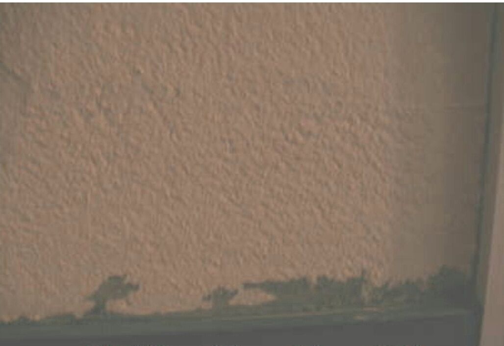 Diy 無塗装石膏ボードで引き渡された脱衣所の珪藻土塗りを施主施工しました Diyで整える捨てられない家族のマキシマムな生活