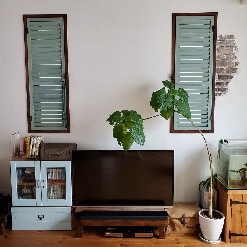 Diy リビングの窓にdiyで作ったルーバー扉を付けました こうしたいを現実にするdiy マイホーム建築で内装を自分達でやったらライフスタイルも変わった家族の暮らし