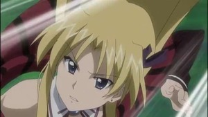 エリカ・ブランデッリ15