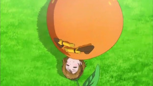 43