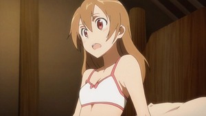 シリカ14