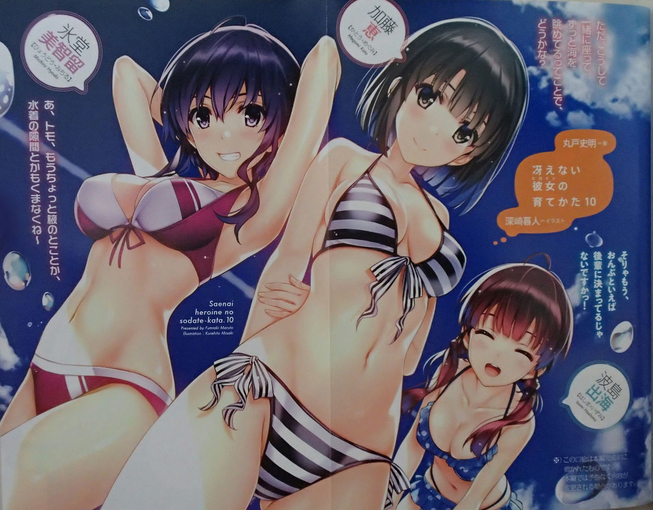 冴えない彼女の育てかた 10巻 レビュー ゲーム漬け 冴えない彼女の育てかた 10巻 レビュー ゲーム漬け