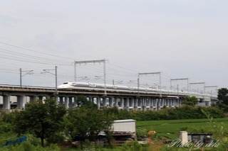 ¹âº½003