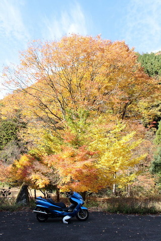 conv0001