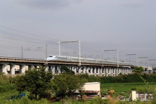 ¹âº½004