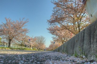 IMG_5891_2_3_tonemapped