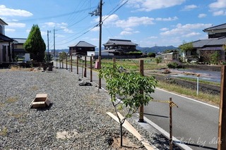 conv0004