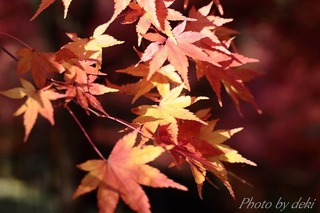 conv0009