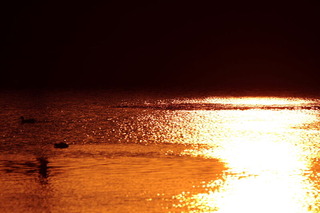 conv0009