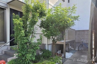 conv0001