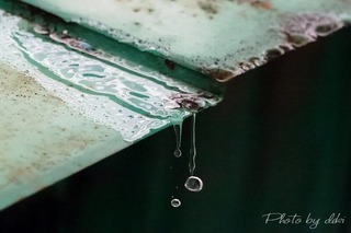 conv0003