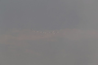 conv0012