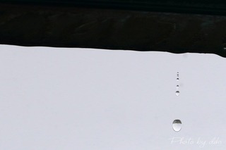 conv0005