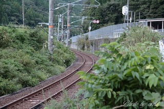 IMG_4182