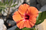 conv0012